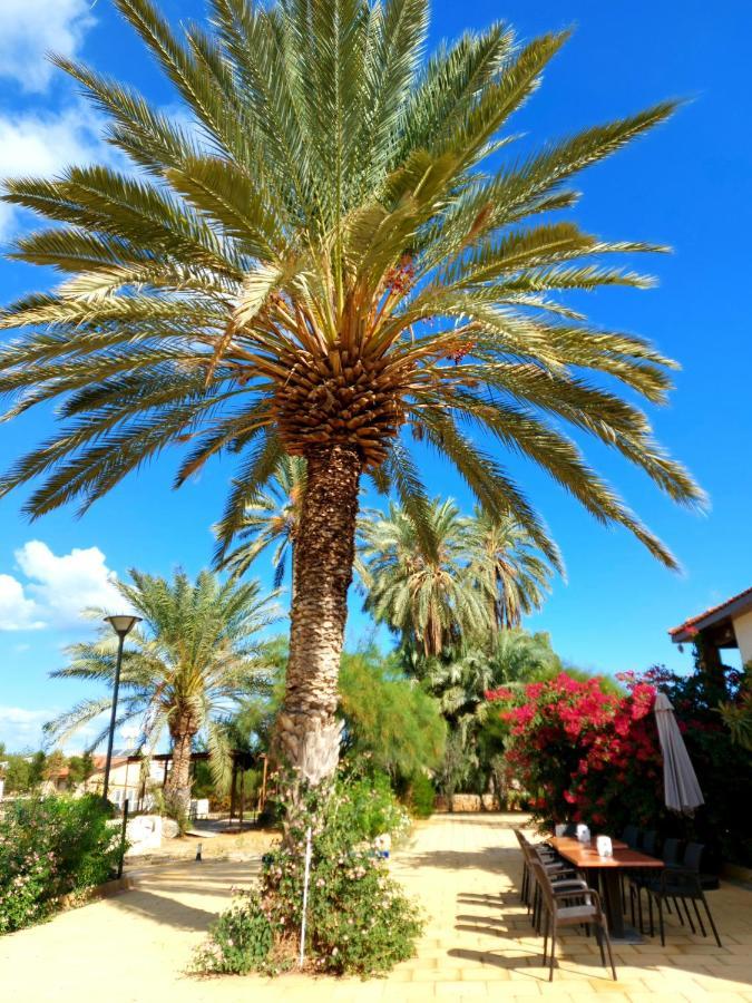 Golden Palms Guest House & Cafe Фамагуста Екстер'єр фото