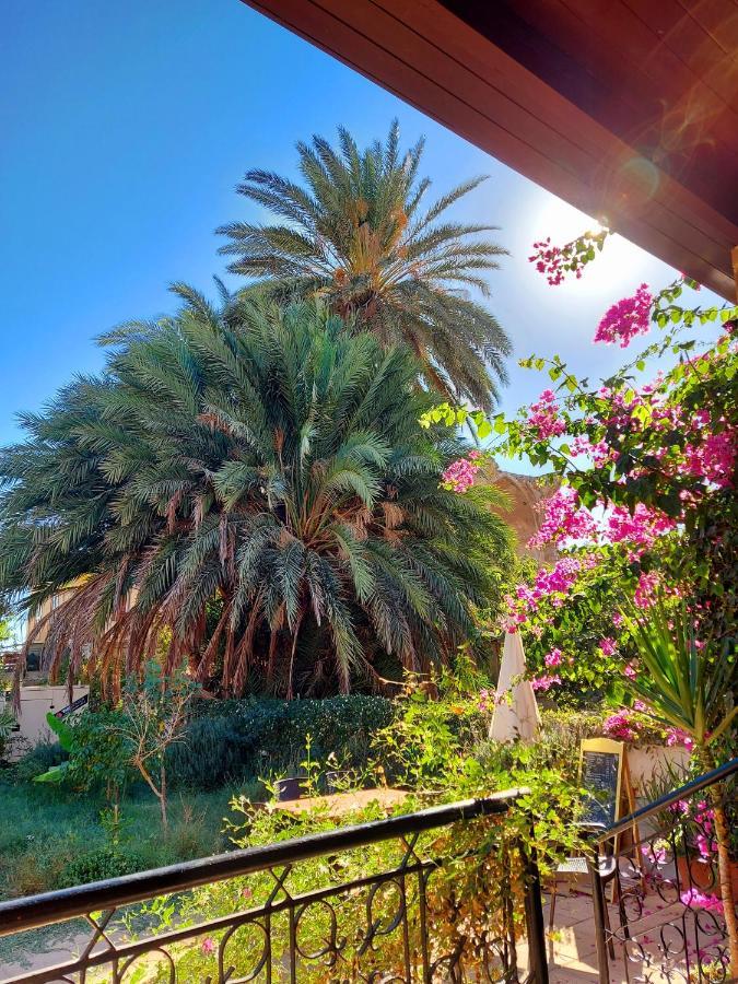 Golden Palms Guest House & Cafe Фамагуста Екстер'єр фото